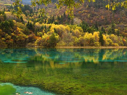 Jiuzhaigou National Park - China SQ (PBH4 00 15423)